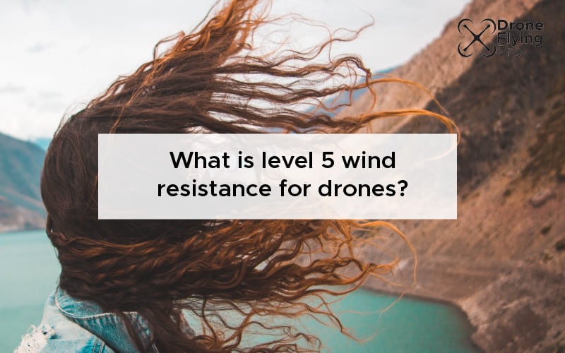 What is level 5 wind resistance for drones - Drone Flying Pro